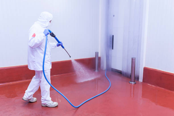 Best Oil Spill Cleanup  in Salem, WV